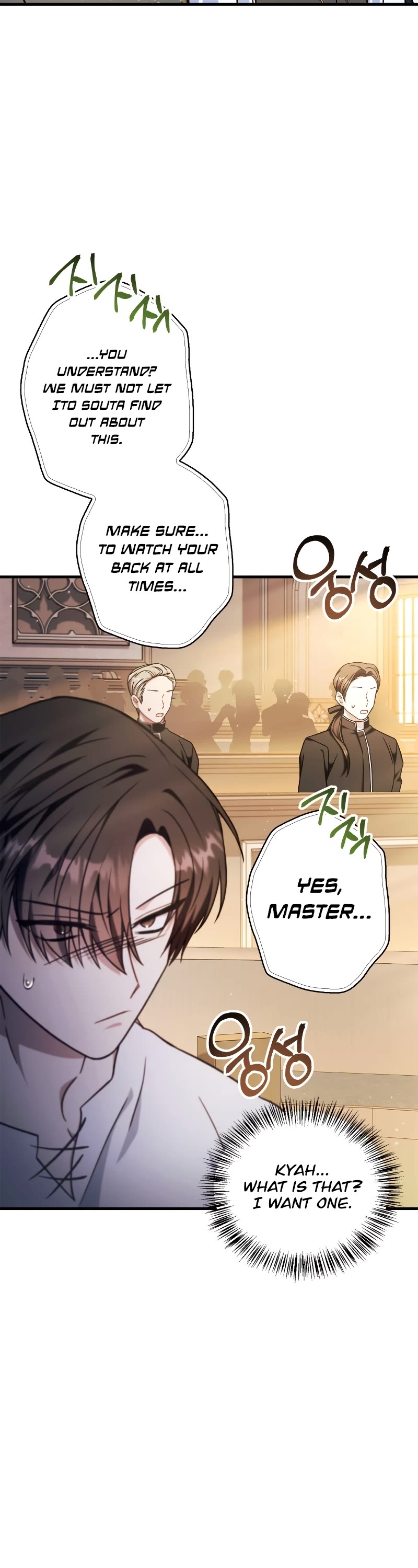 Regressor Instruction Manual chapter 71 page 47