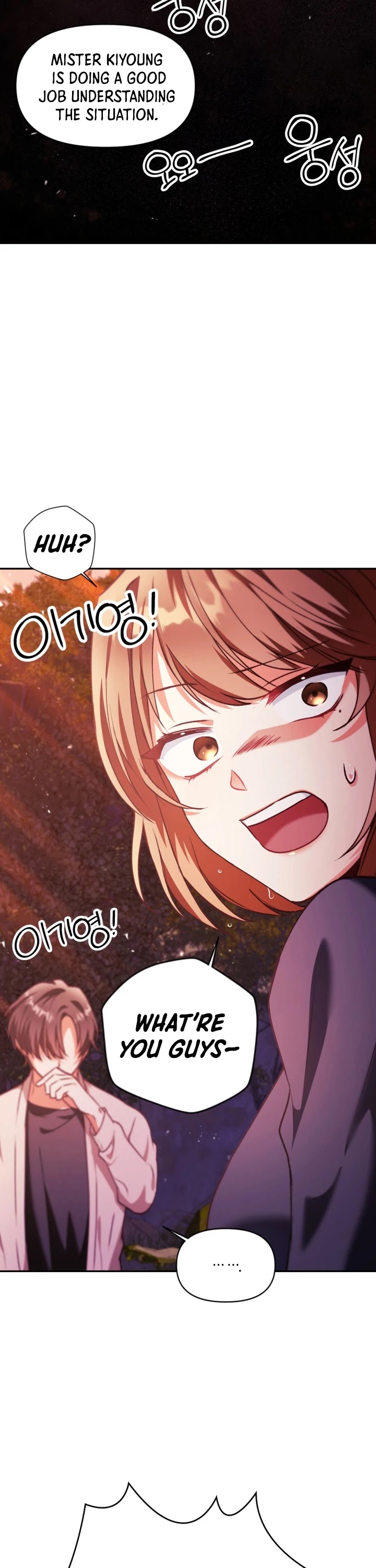 Regressor Instruction Manual chapter 8 page 18