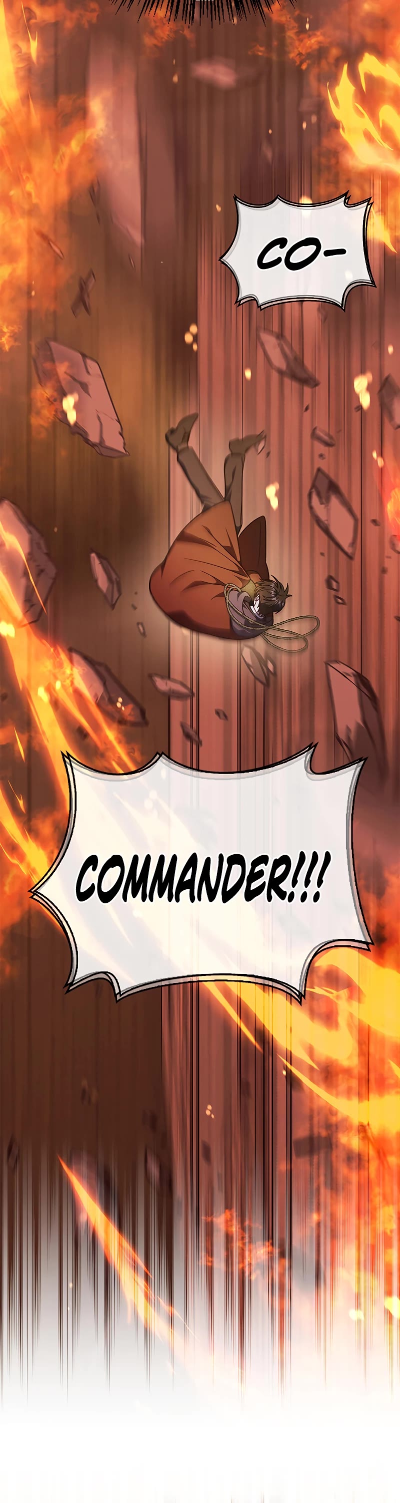 Regressor Instruction Manual chapter 82 page 13