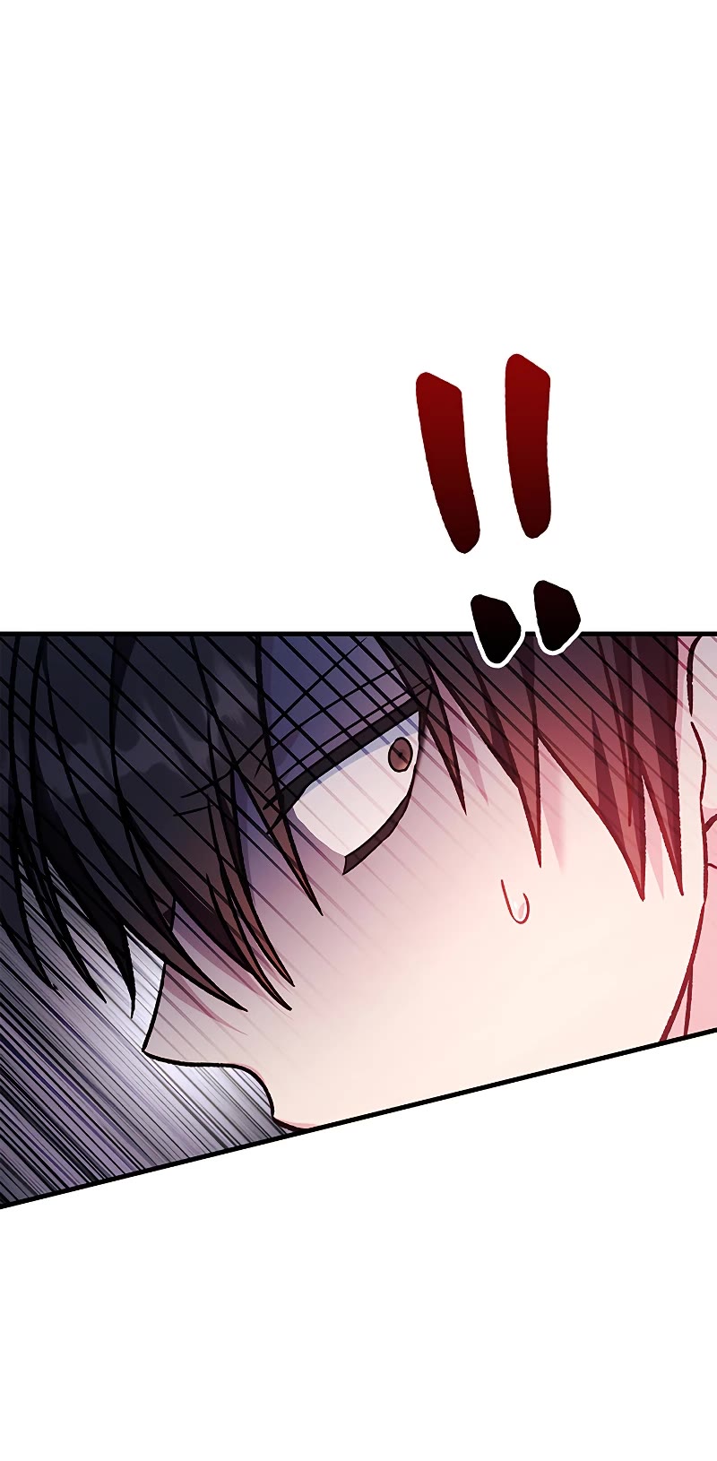 Regressor Instruction Manual chapter 82 page 59