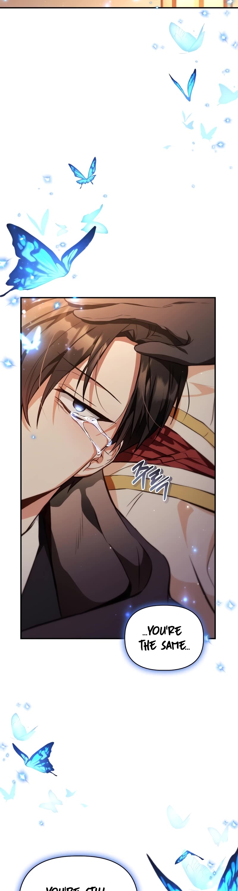 Regressor Instruction Manual chapter 89 page 15