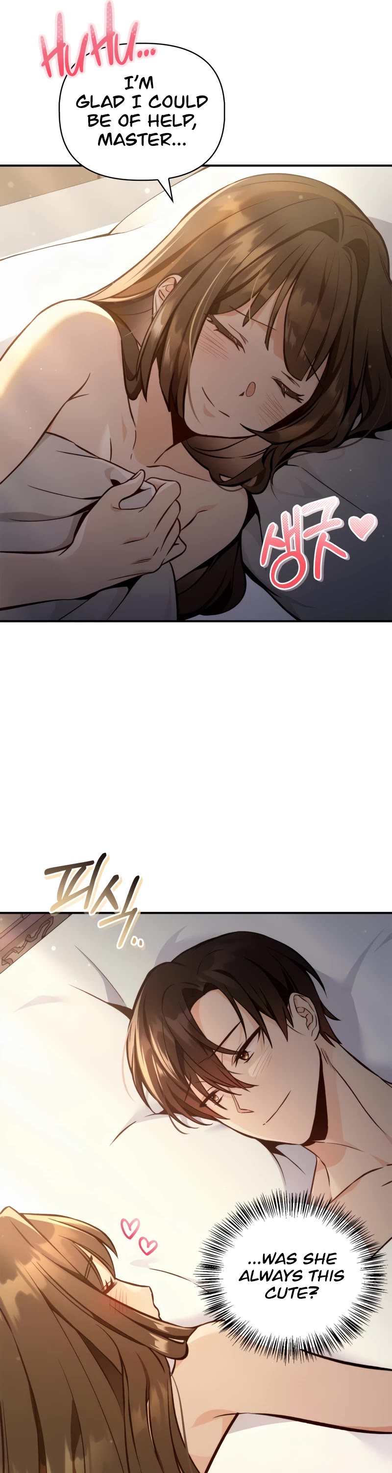 Regressor Instruction Manual chapter 89 page 61