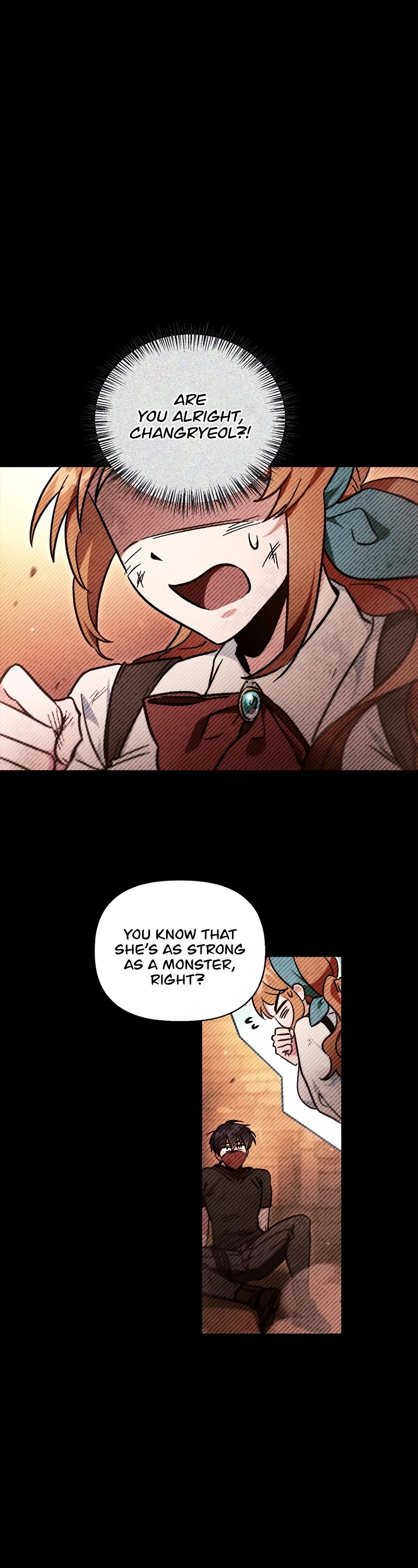 Regressor Instruction Manual chapter 99 page 12