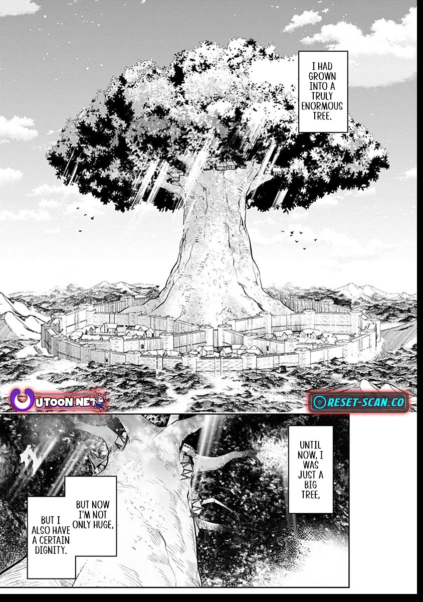 Reincarnated as the World Tree chapter 5 page 40