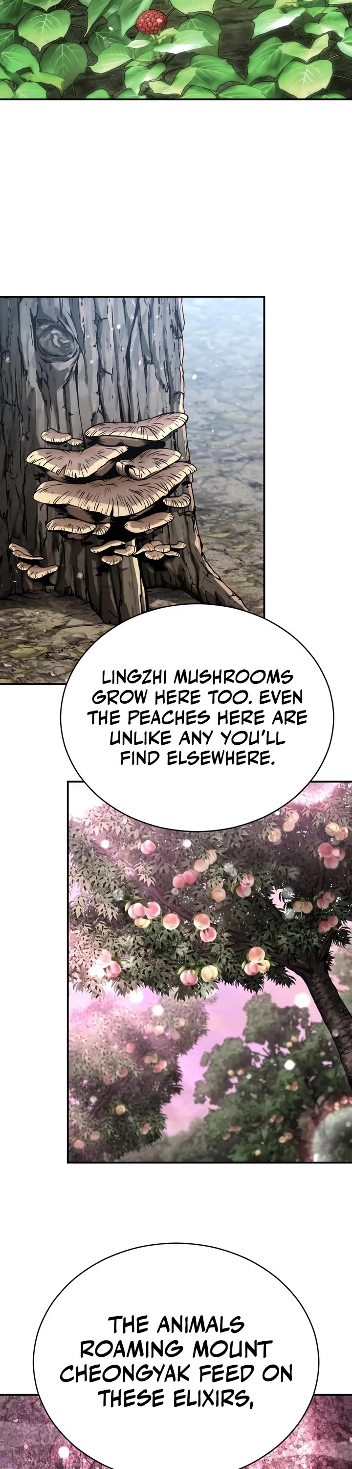 Reincarnation of the Fist King chapter 63 page 34