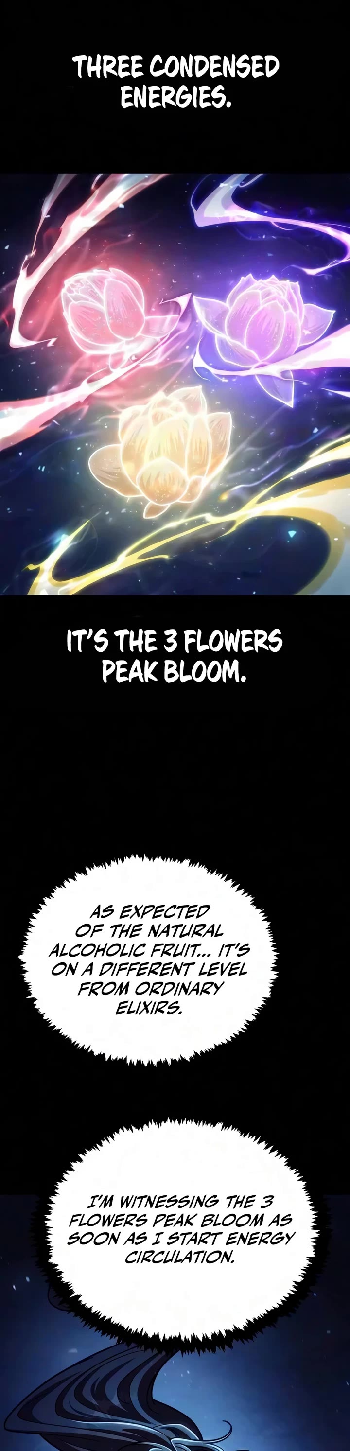 Reincarnation of the Fist King chapter 65 page 40