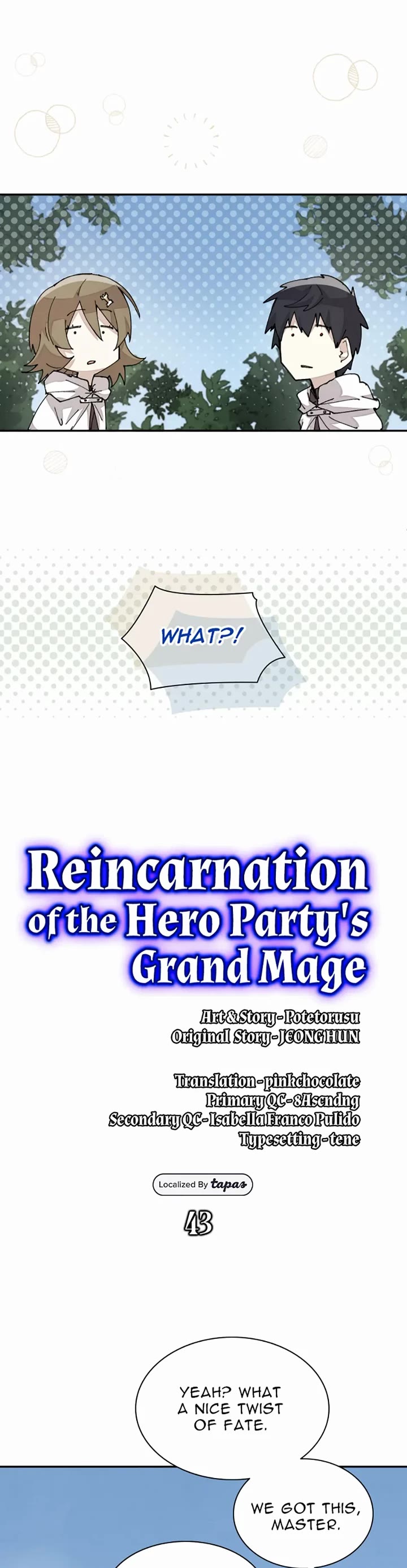 Reincarnation of the Hero Party's Archmage chapter 43 page 9