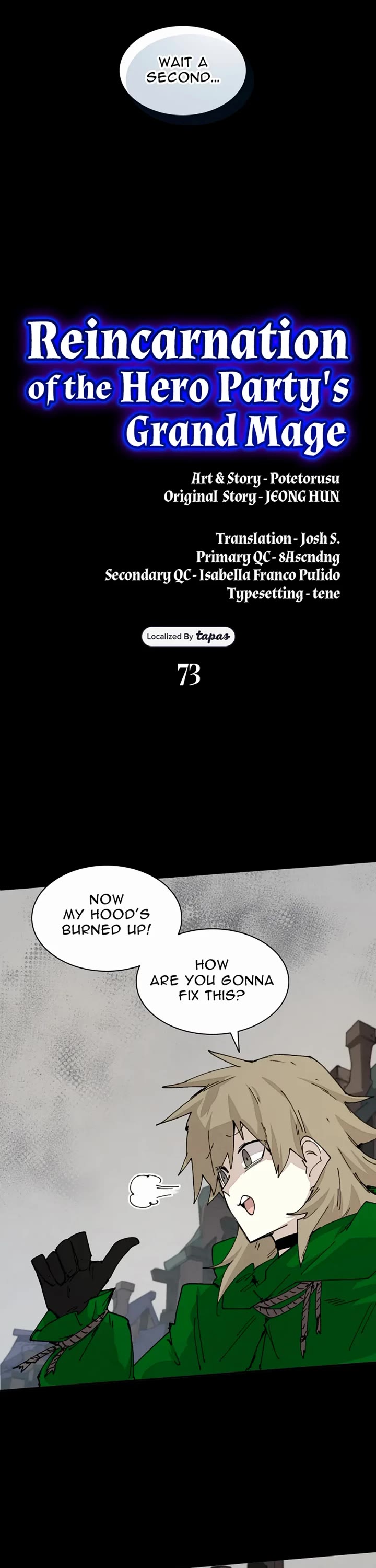 Reincarnation of the Hero Party's Archmage chapter 73 page 17