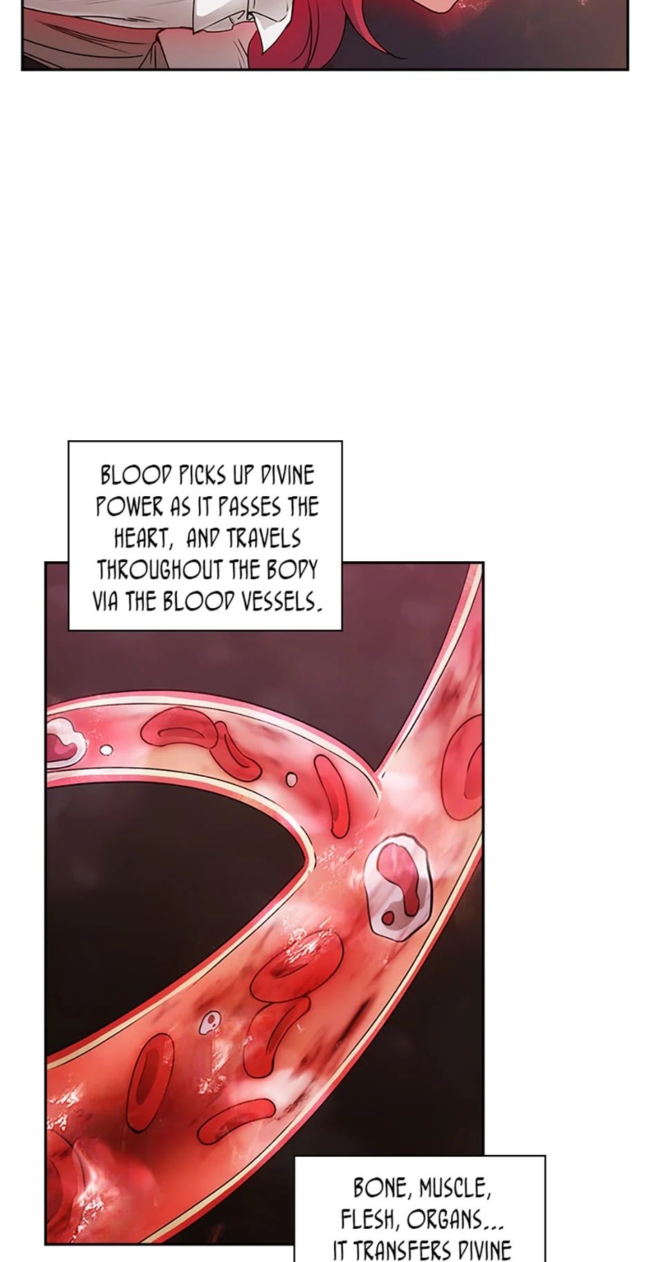 Reminiscence Adonis chapter 131 page 14