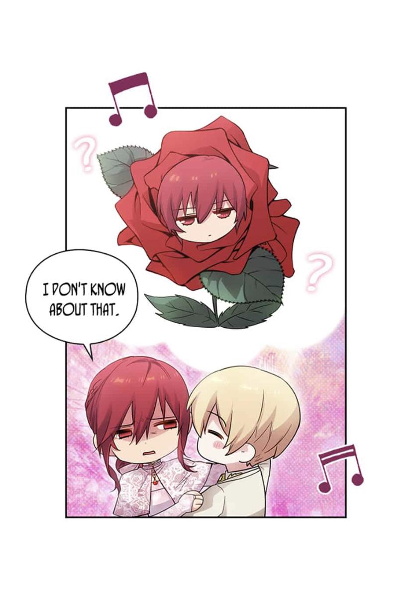 Reminiscence Adonis chapter 178 page 37