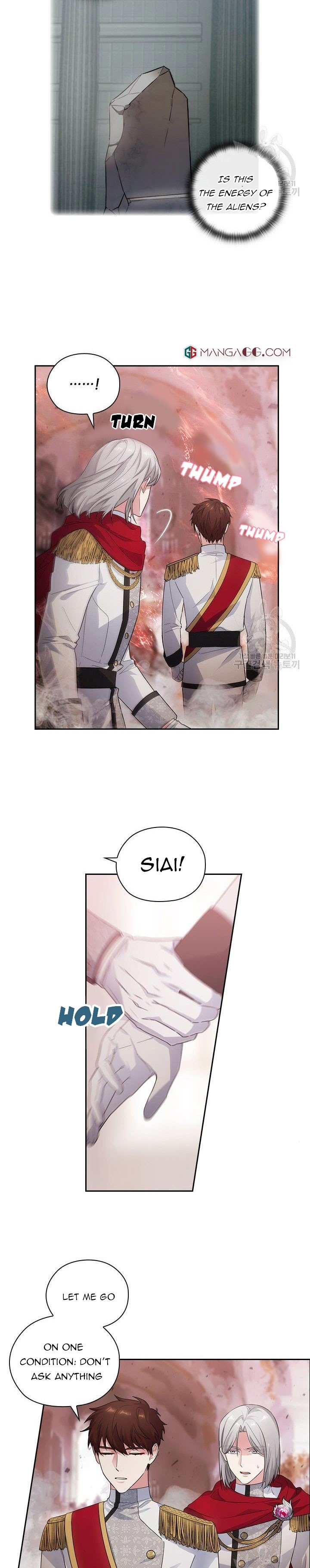 Reminiscence Adonis chapter 194 page 2