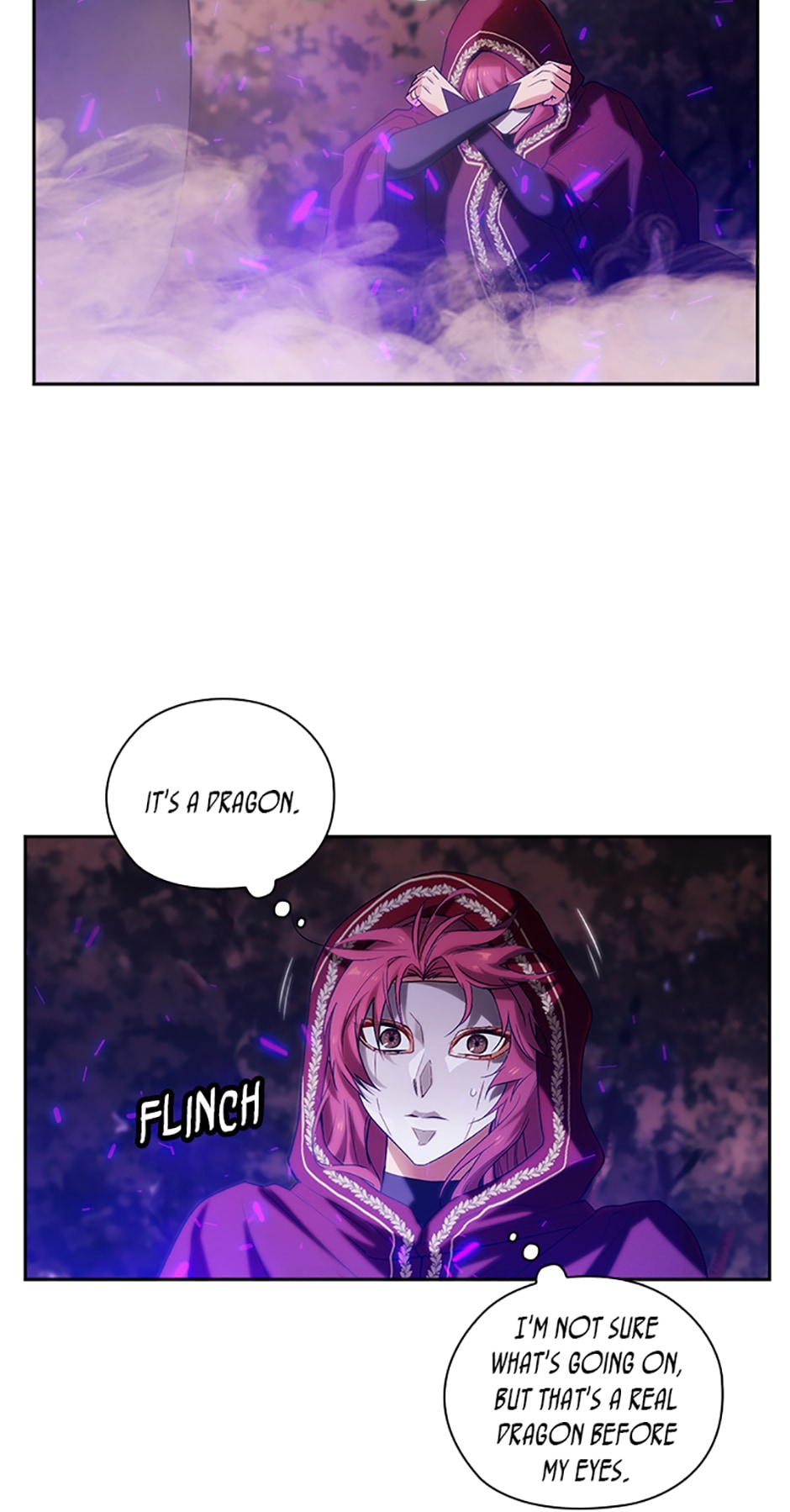 Reminiscence Adonis chapter 218 page 29