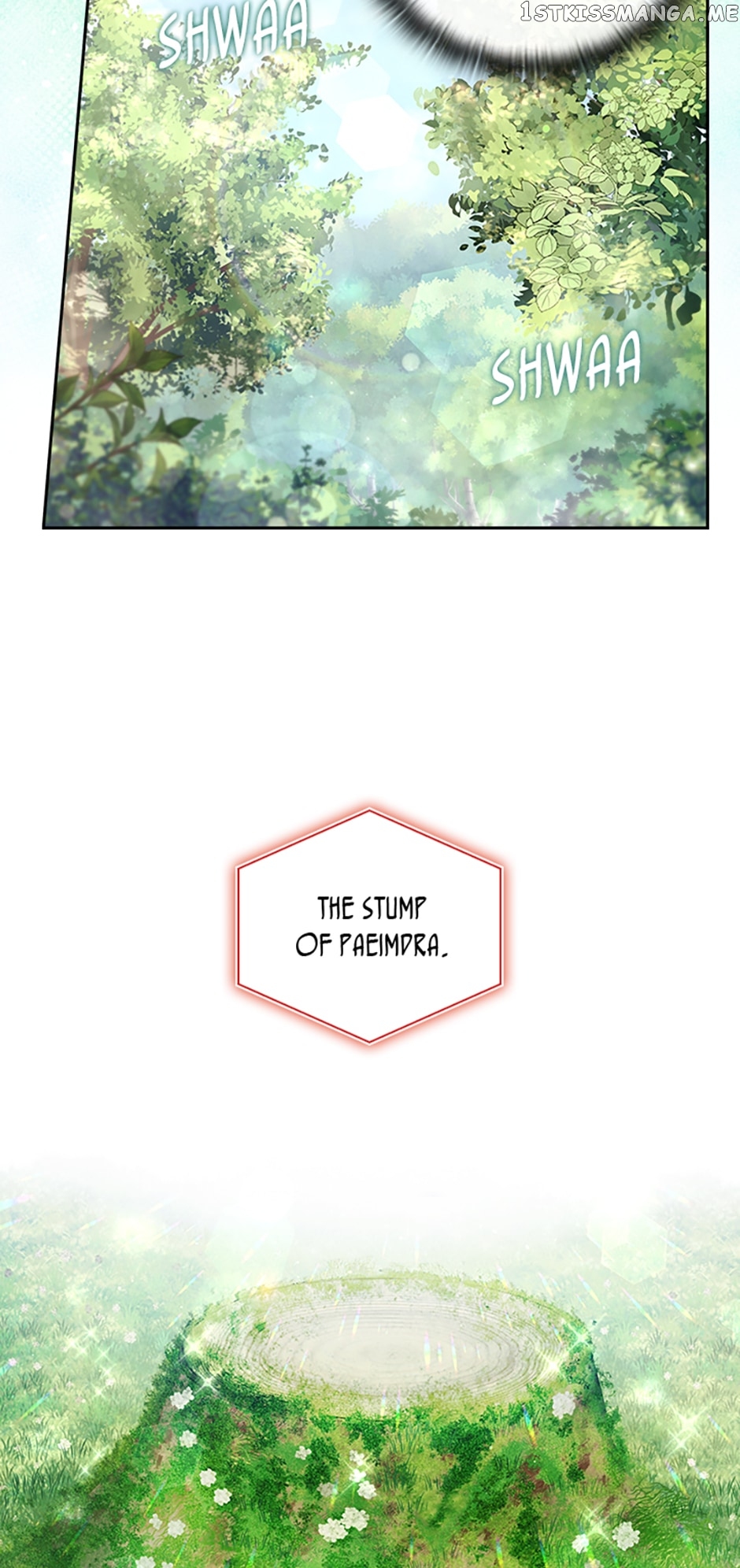 Reminiscence Adonis chapter 235 page 47