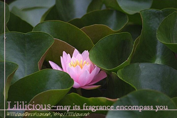 Renai Joshika chapter 3.3 page 23