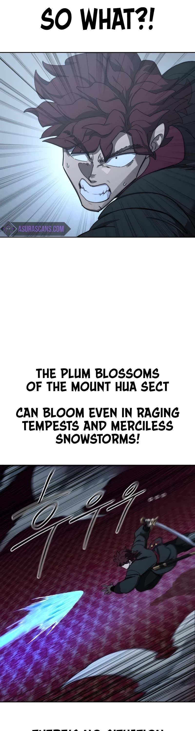 Return of the Mount Hua Sect chapter 125 page 14