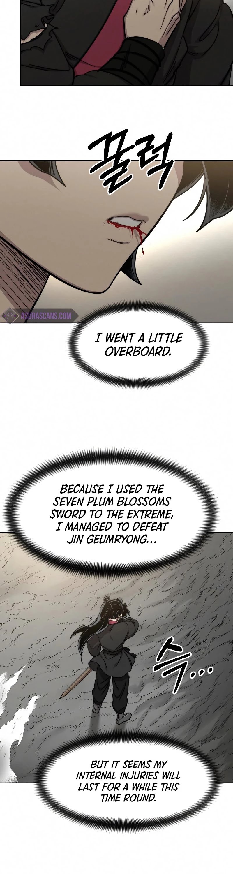 Return of the Mount Hua Sect chapter 69 page 17