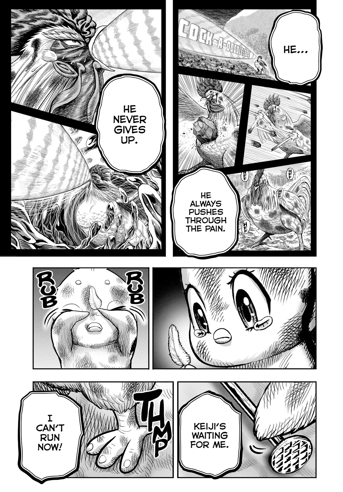 Rooster Fighter chapter 24 page 43