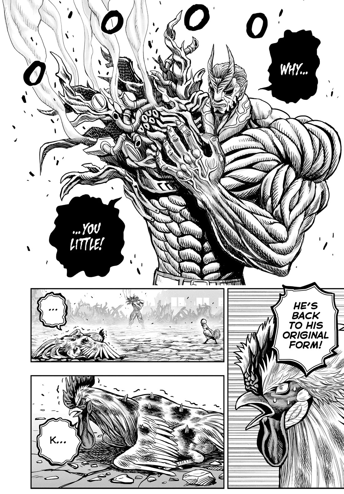Rooster Fighter chapter 25 page 51