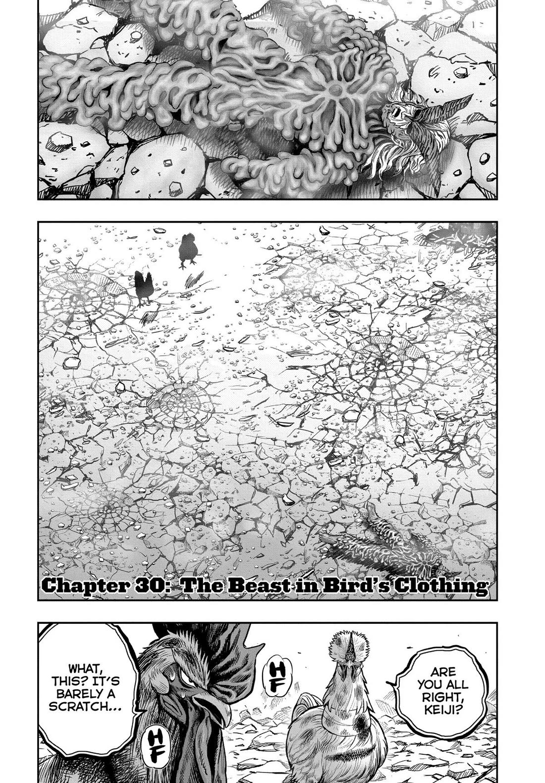 Rooster Fighter chapter 30 page 1