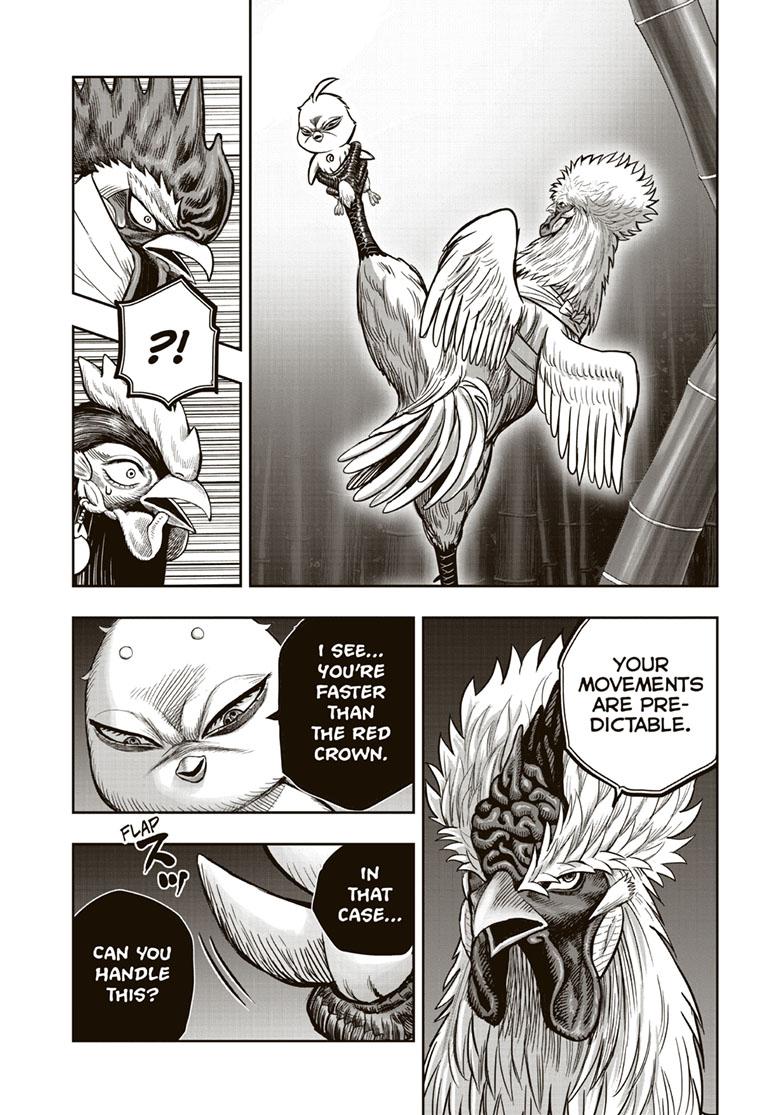 Rooster Fighter chapter 33 page 15