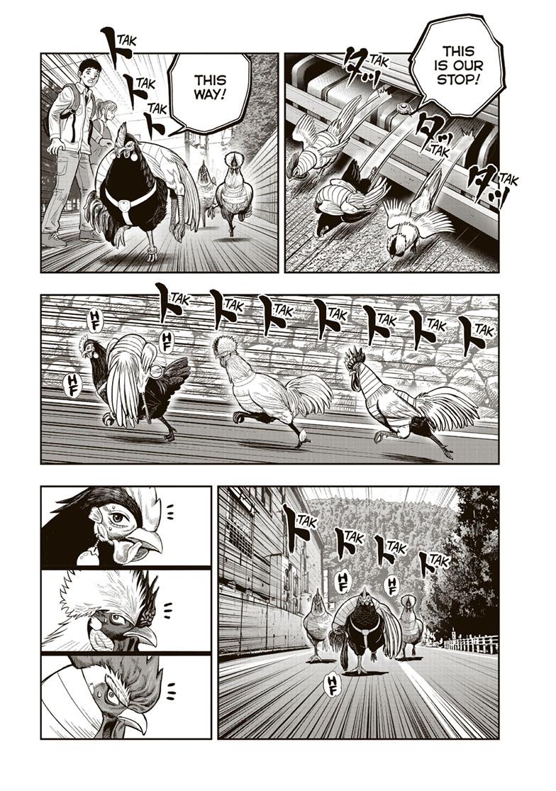 Rooster Fighter chapter 36 page 15