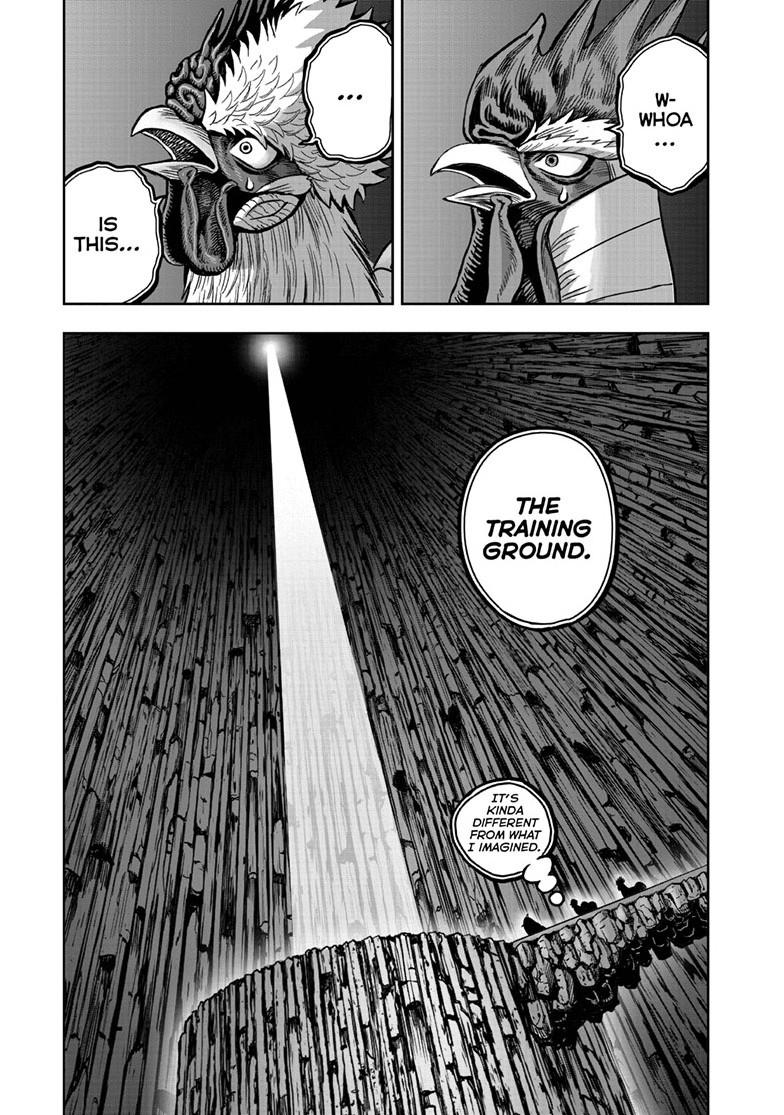 Rooster Fighter chapter 46 page 17