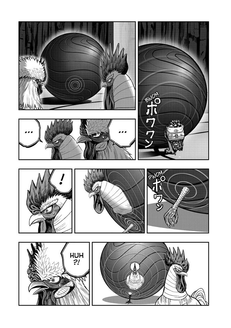 Rooster Fighter chapter 46 page 25