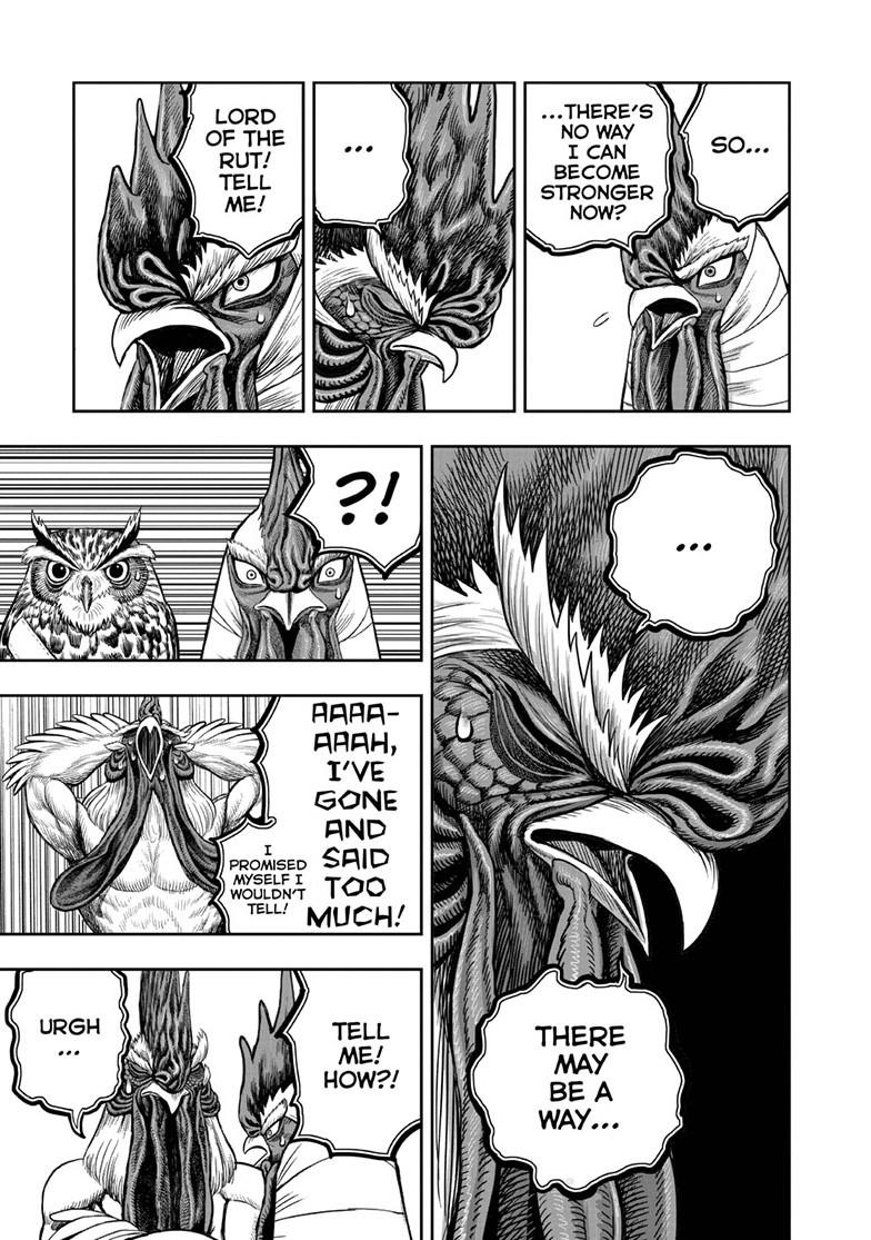 Rooster Fighter chapter 48 page 21