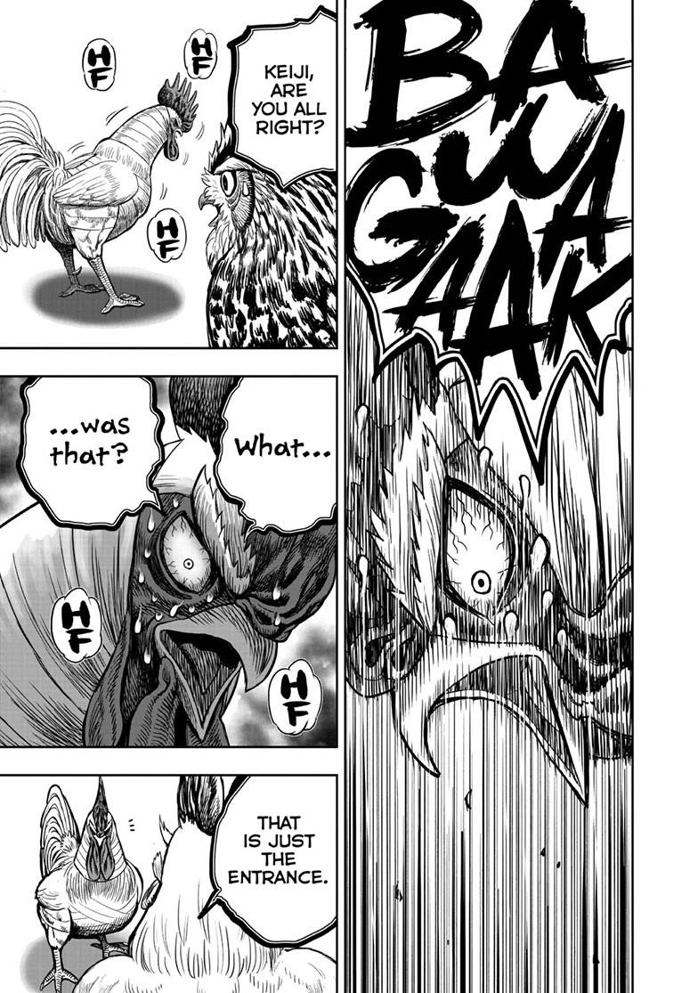 Rooster Fighter chapter 48 page 27