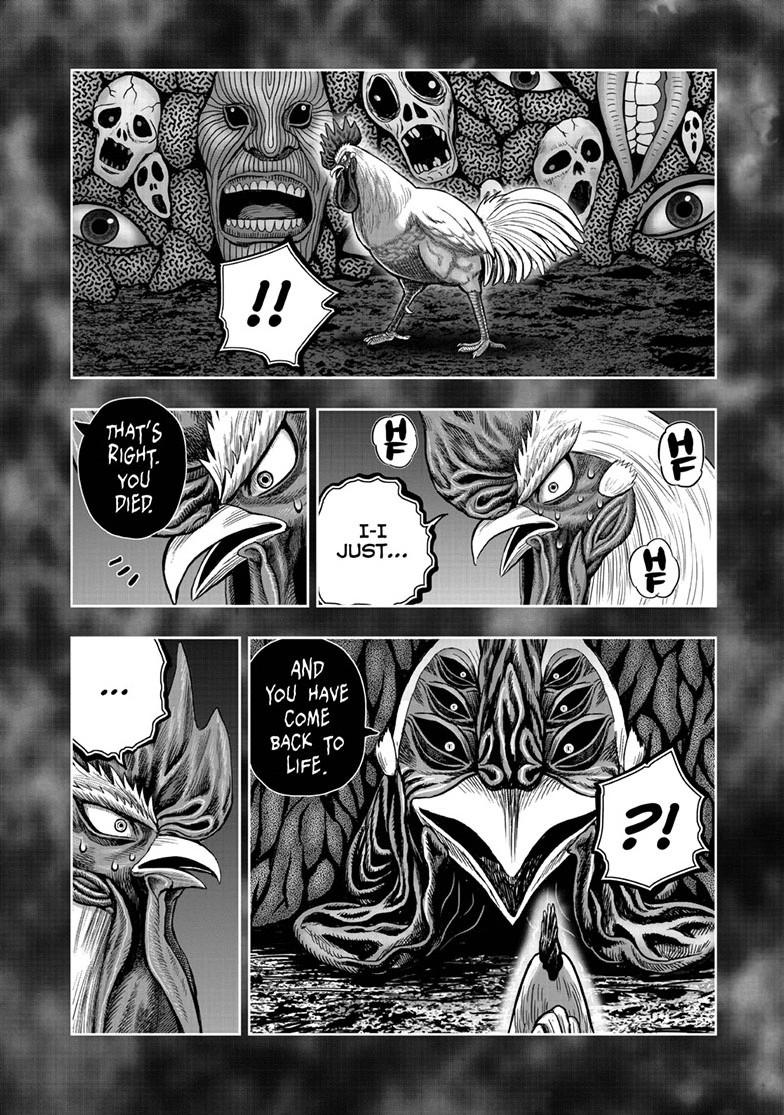 Rooster Fighter chapter 49 page 32