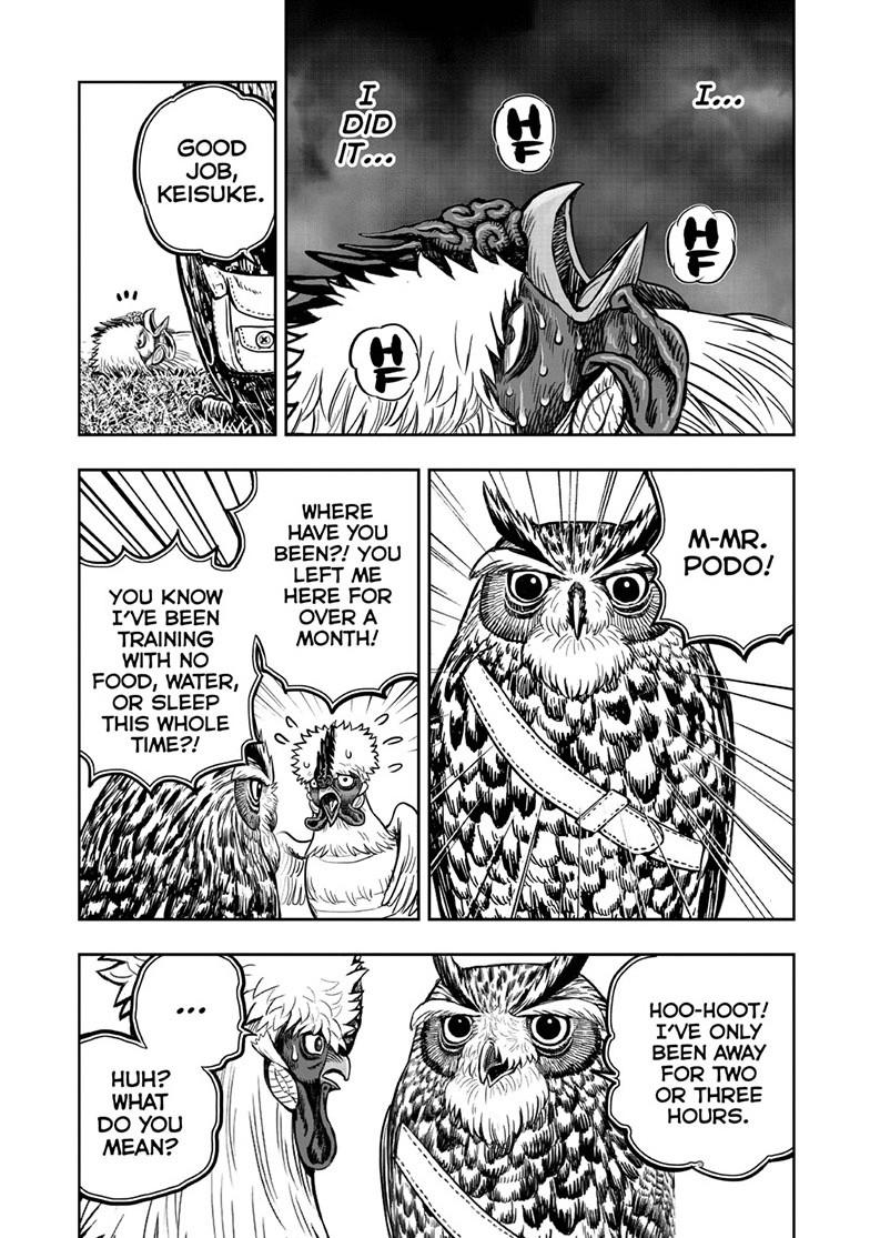 Rooster Fighter chapter 50 page 4