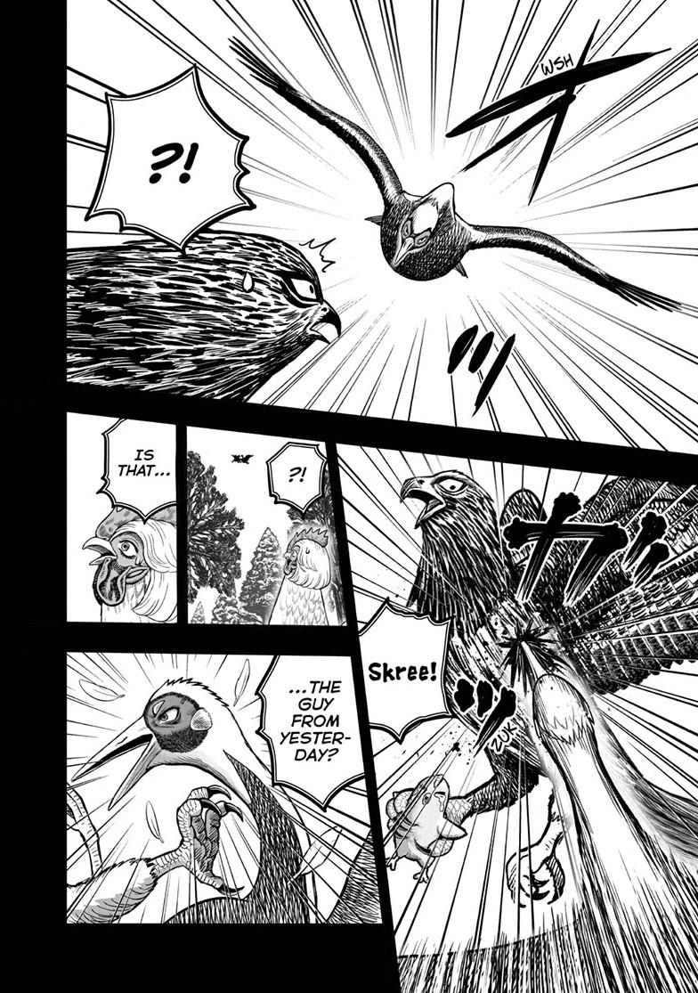 Rooster Fighter chapter 51 page 26