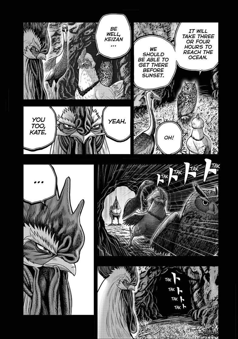 Rooster Fighter chapter 52 page 28