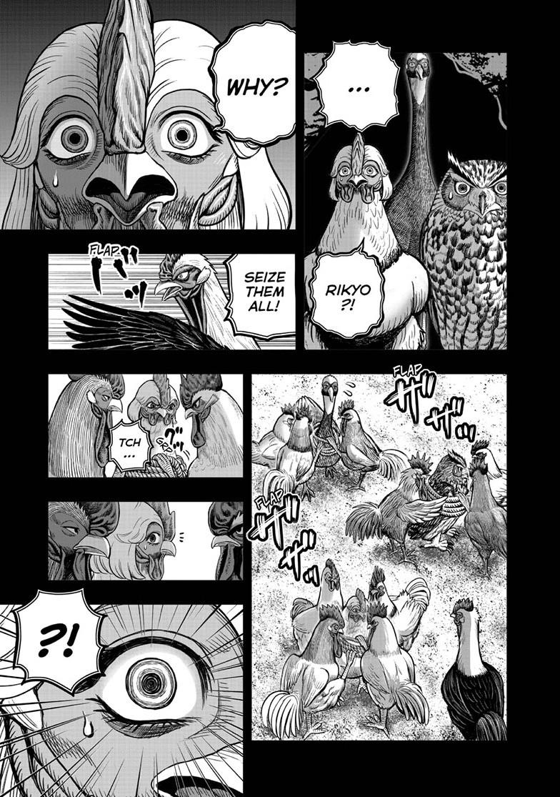 Rooster Fighter chapter 52 page 31