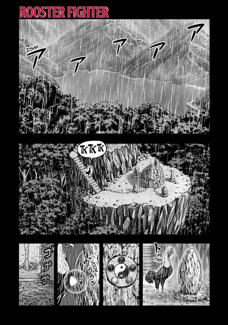 Rooster Fighter chapter 53 page 1