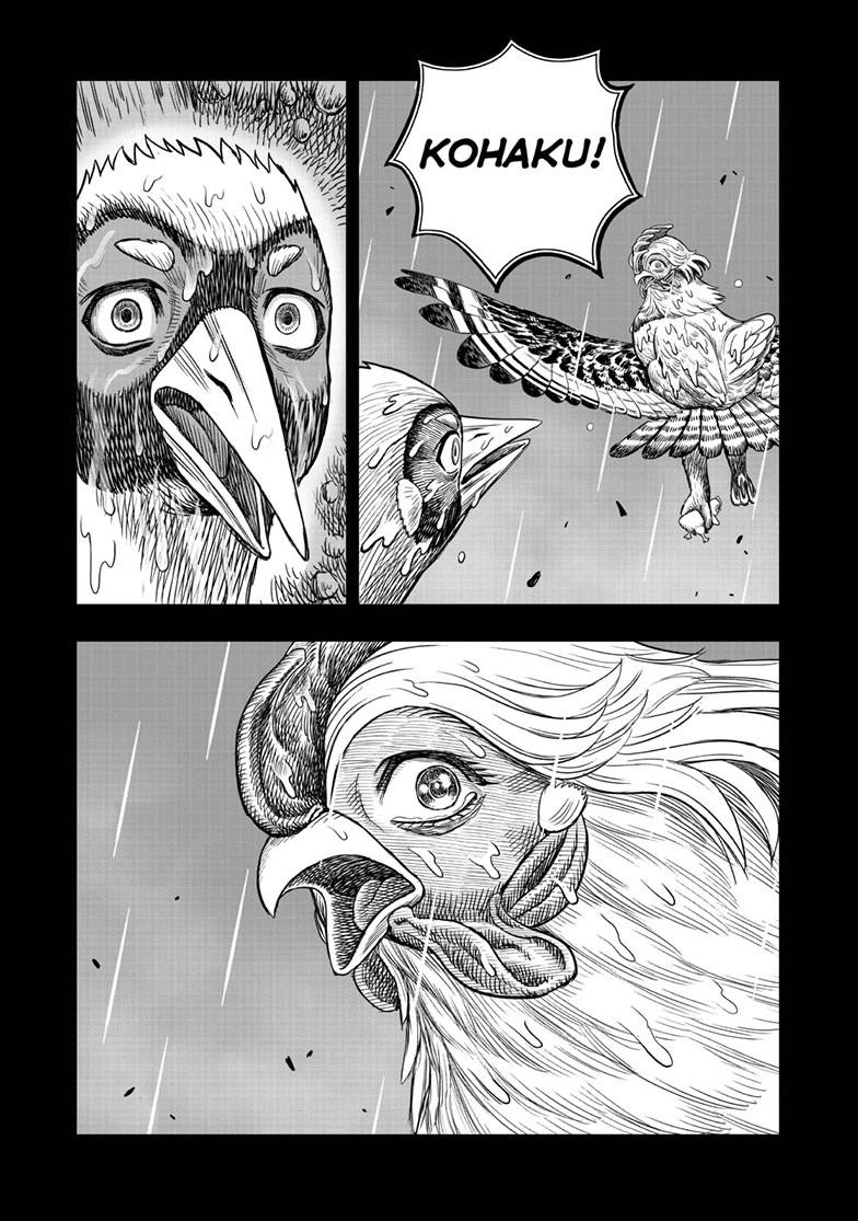Rooster Fighter chapter 53 page 53