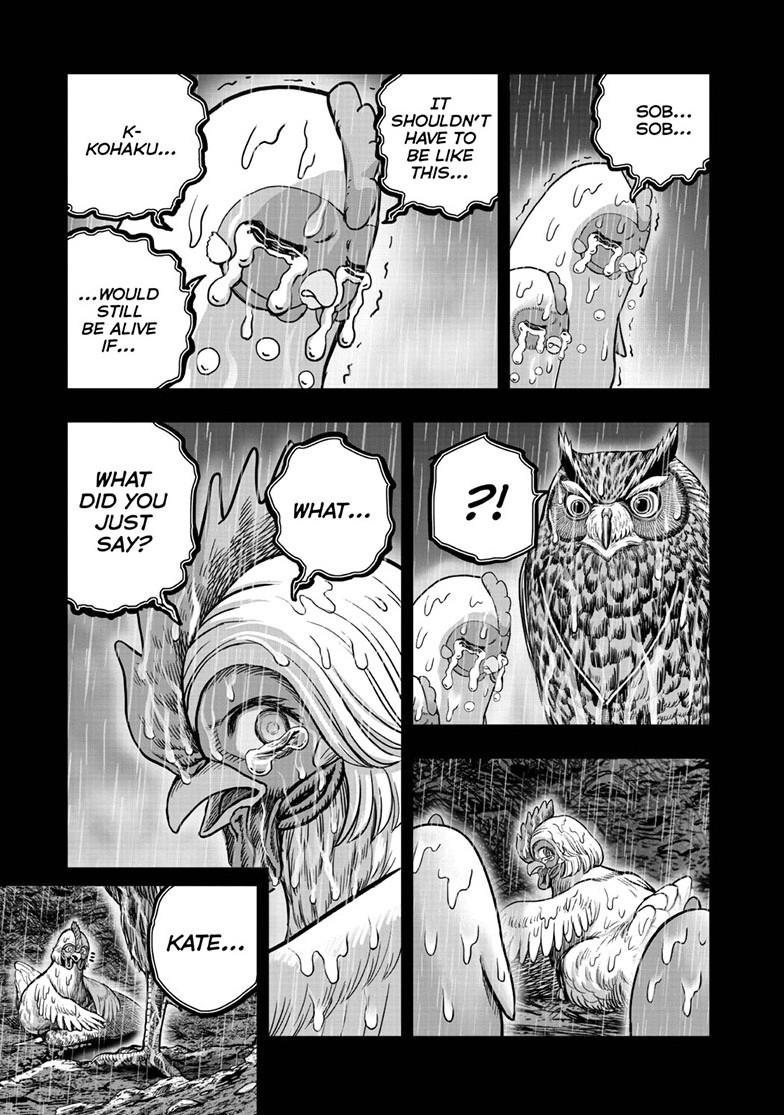 Rooster Fighter chapter 54 page 13