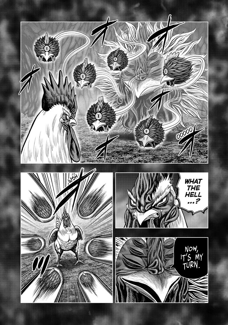 Rooster Fighter chapter 56 page 10