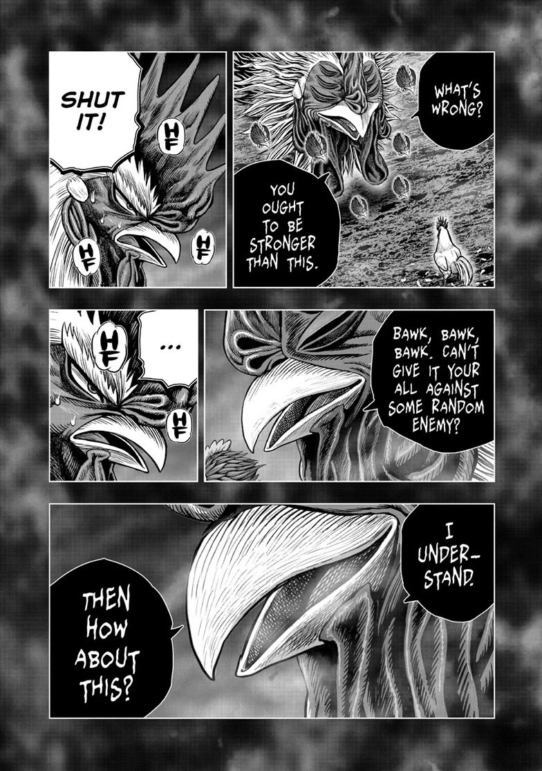 Rooster Fighter chapter 56 page 14