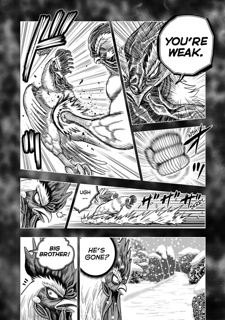 Rooster Fighter chapter 56 page 20