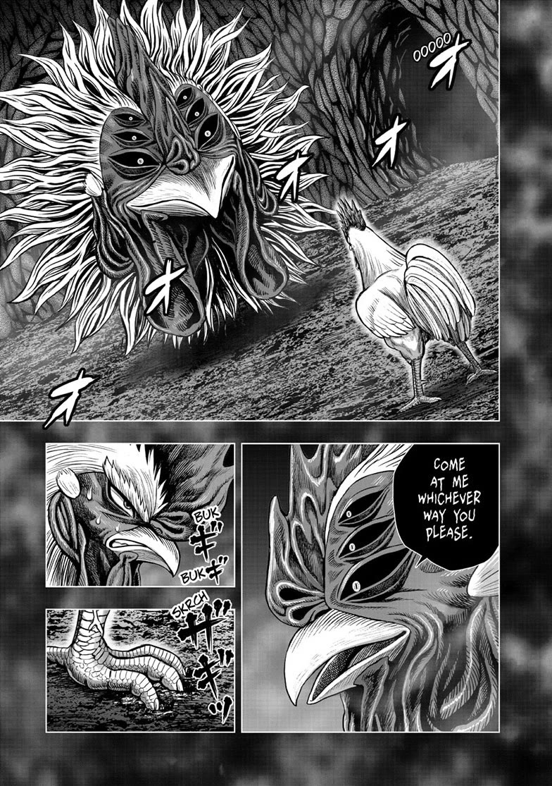 Rooster Fighter chapter 56 page 7