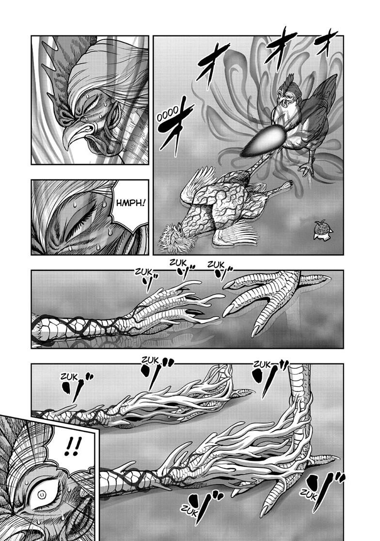 Rooster Fighter chapter 59 page 5