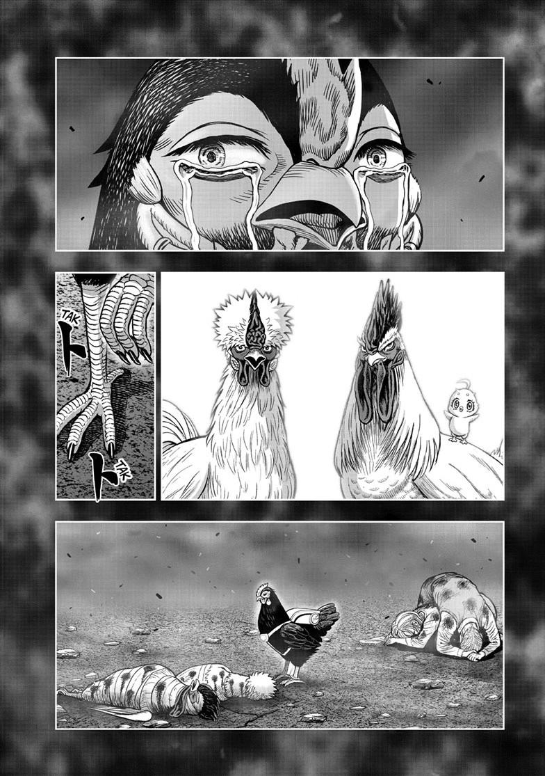 Rooster Fighter chapter 60 page 22