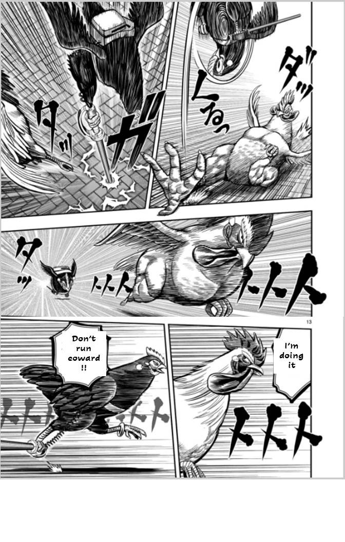 Rooster Fighter chapter 7 page 13