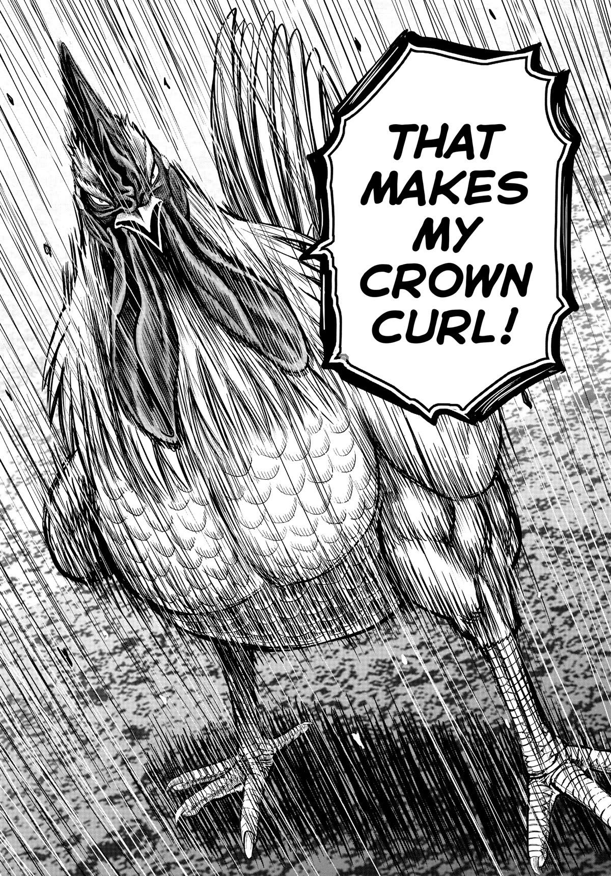 Rooster Fighter chapter 22 page 13