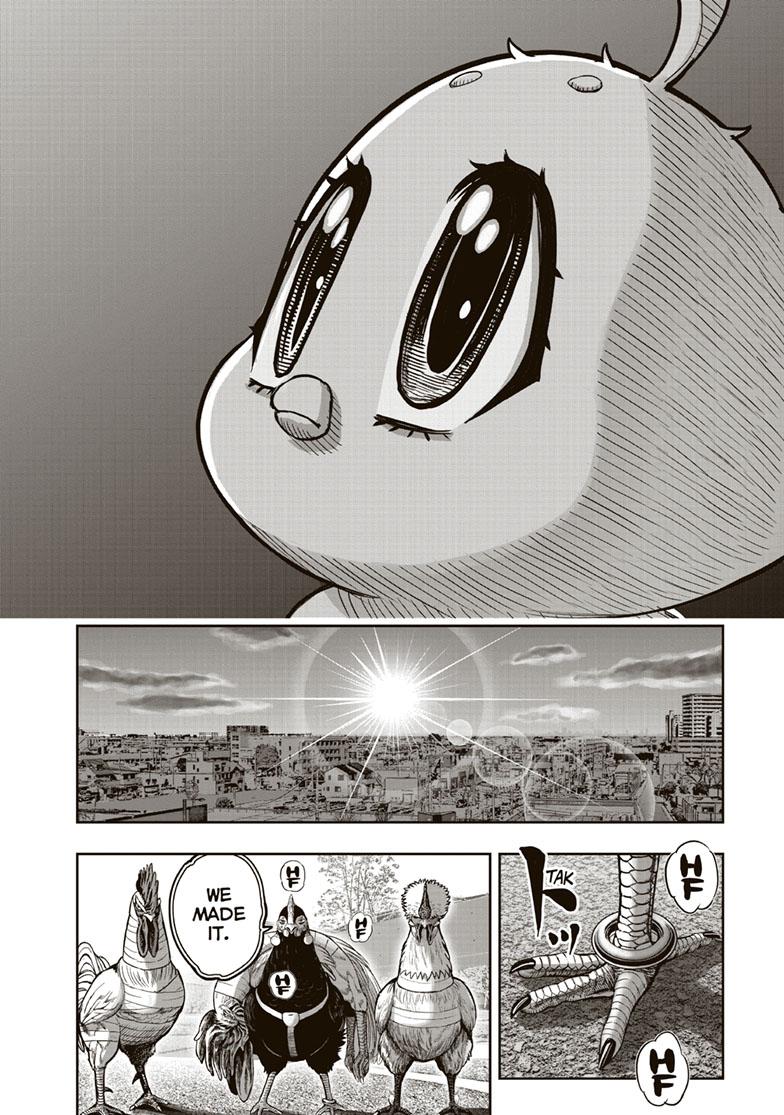 Rooster Fighter chapter 35 page 12