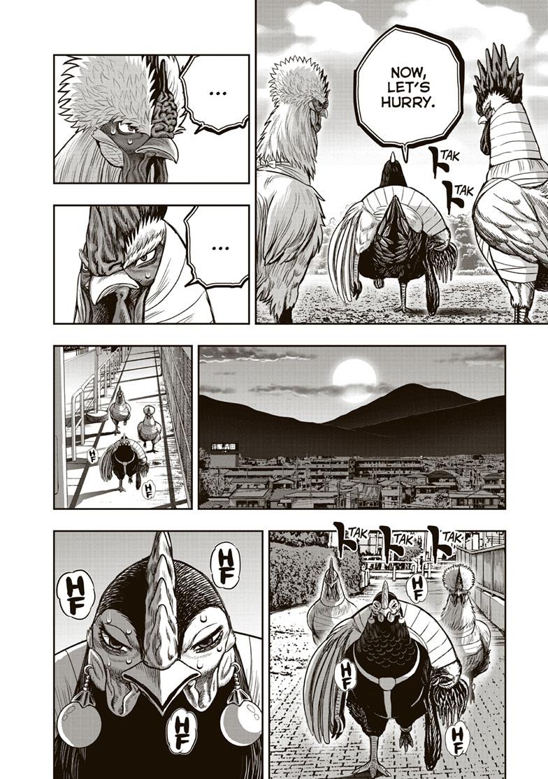 Rooster Fighter chapter 35 page 8