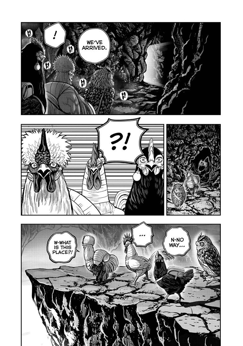 Rooster Fighter chapter 43 page 9