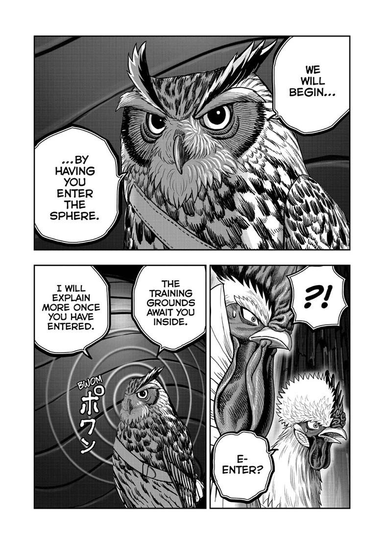 Rooster Fighter chapter 46 page 24