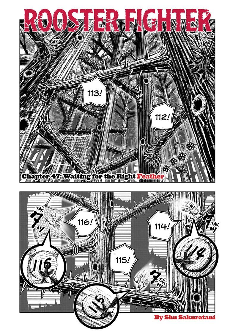 Rooster Fighter chapter 47 page 1